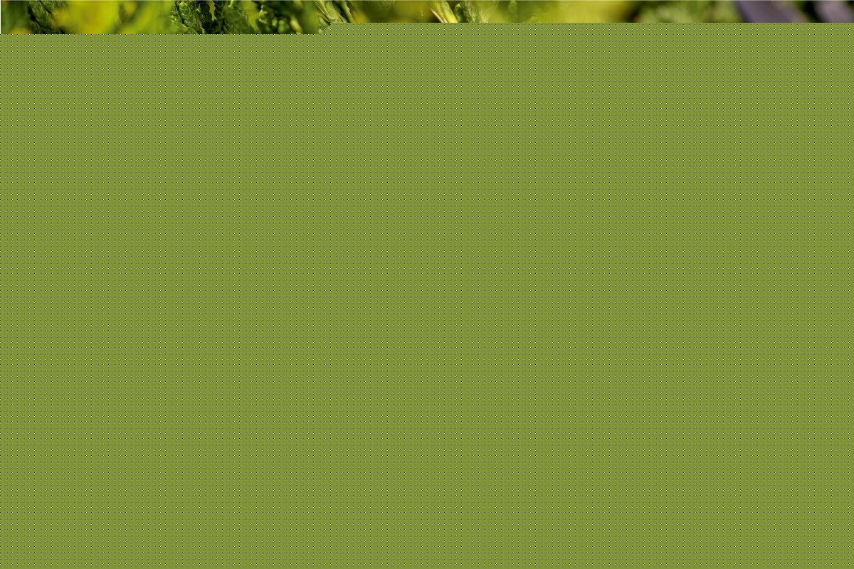 Metabo Hs 18 Ltx 65 V Akku-Heckenschere