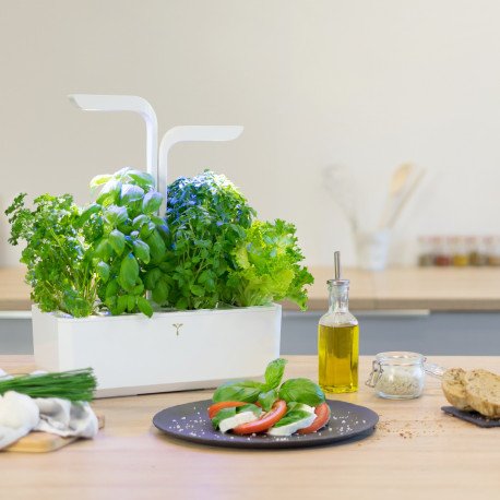 Véritable Classic Selbstversorgender Indoor-Garten