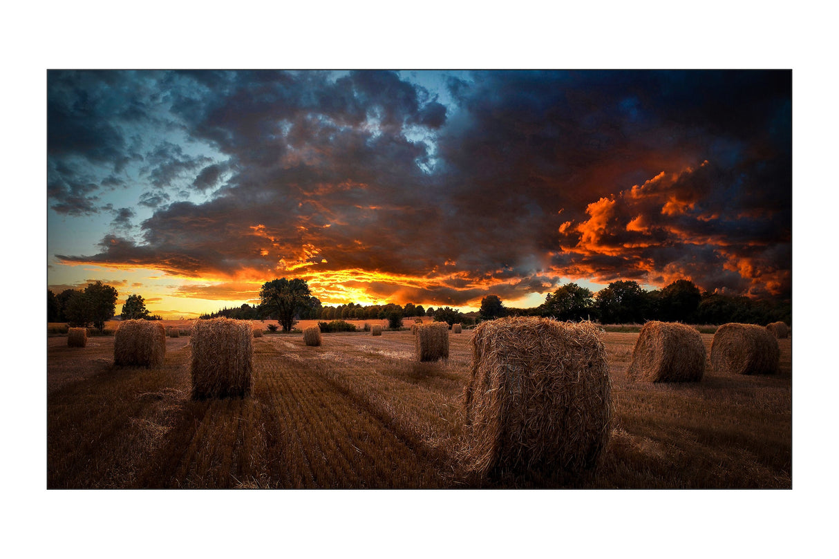 Samsung Smart Signage Vm55b-U 138,7cm(55") Led Negro