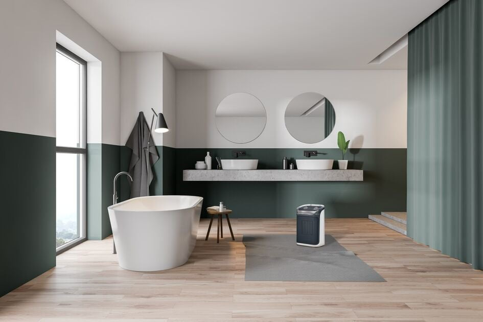 Termoventilador Rowenta So9281f0 Gris/Blanco