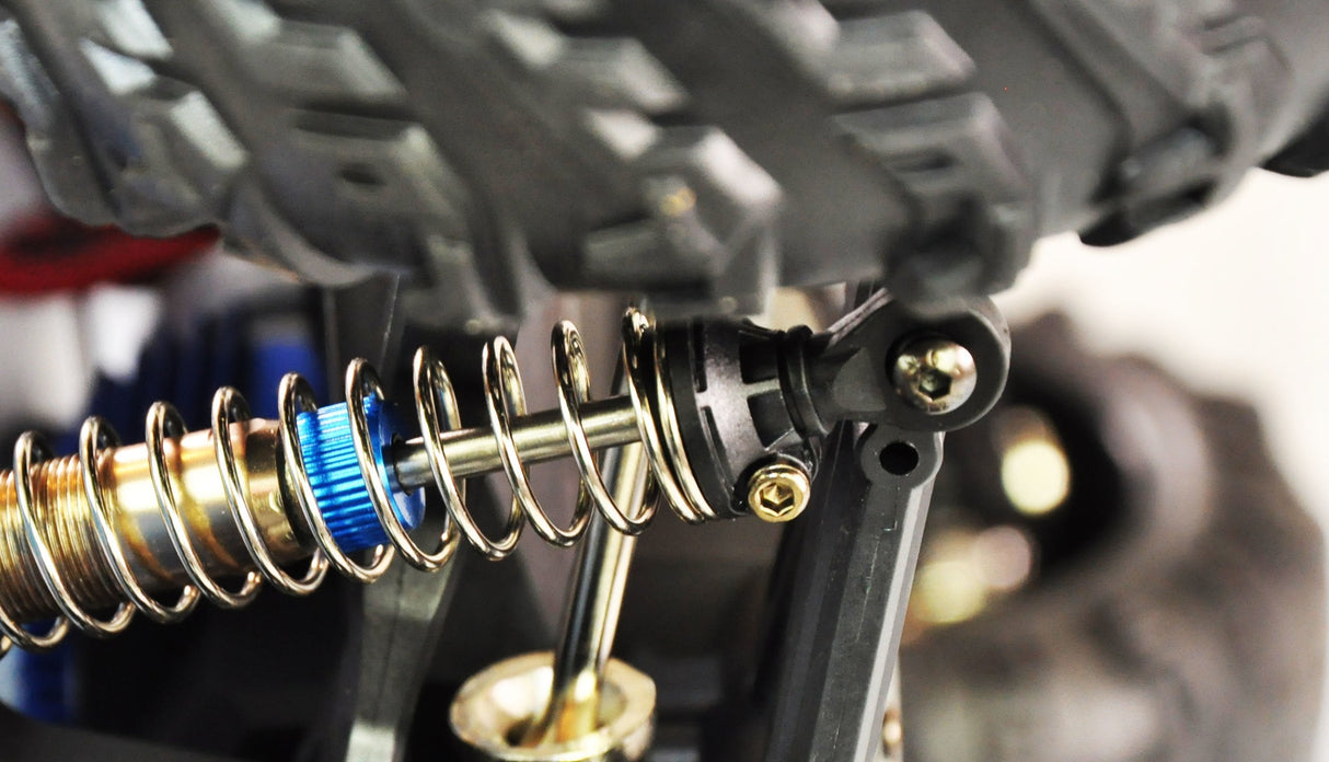 EAN 4260768515758 - Amewi Daphoenodon modelo controlado por radio Monster truck Motor eléctrico 1:12 imagen 3