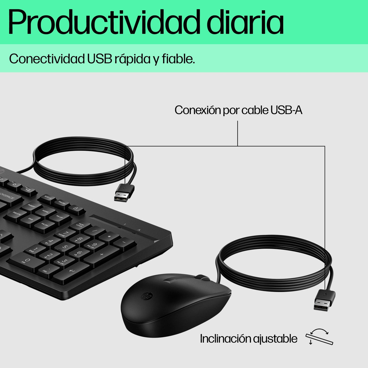 EAN 0195161119019 - HP 225 Wired Mouse and Keyboard Combo teclado Ratón incluido USB Negro imagen 2