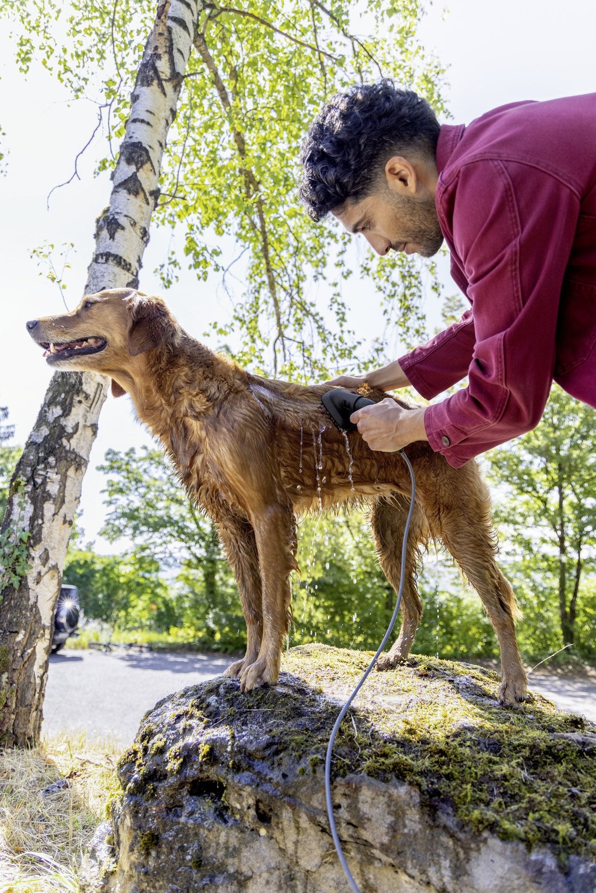 Kärcher Cepillo Para Lavar Pelos De Animales