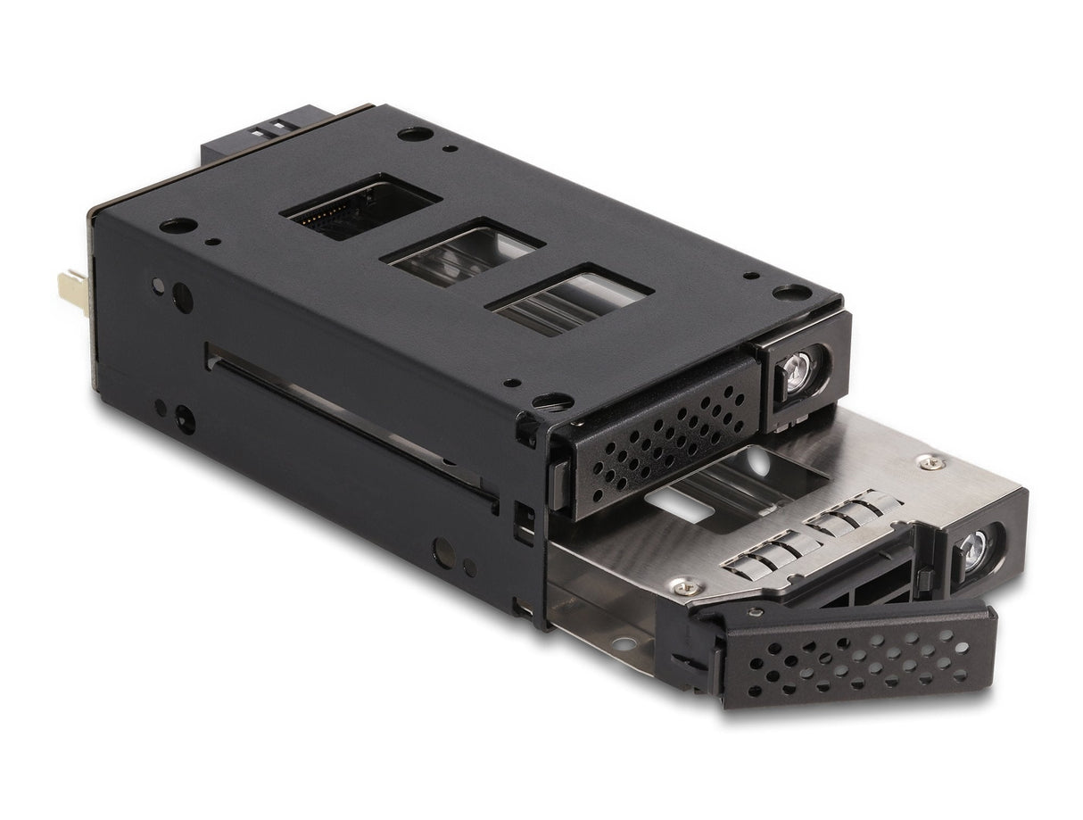 Delock 47011 Panel Bahía Disco Duro 2x 2,5" U.2 Nvme Ssd Con 5.25 Rahmen