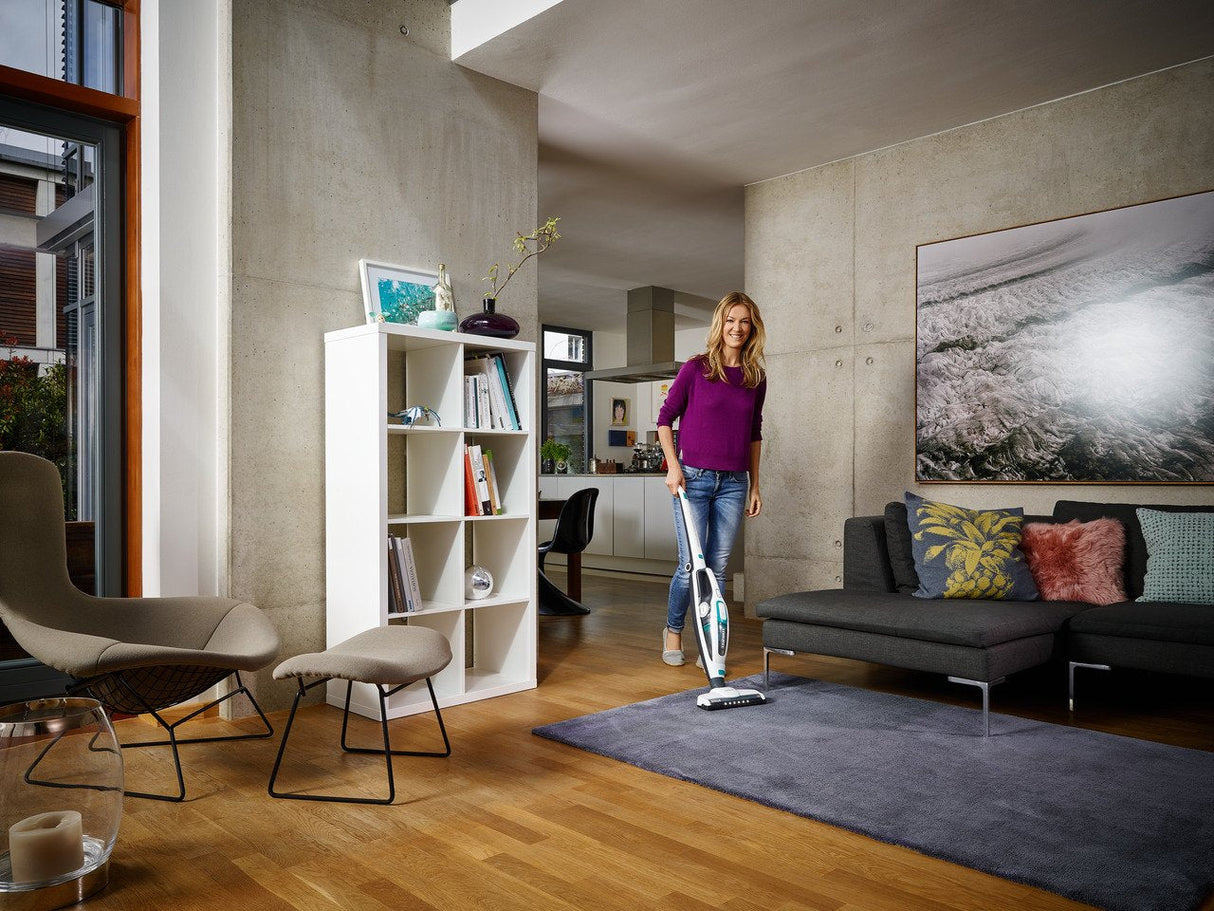 Aspirador Leifheit 11925, Vertical