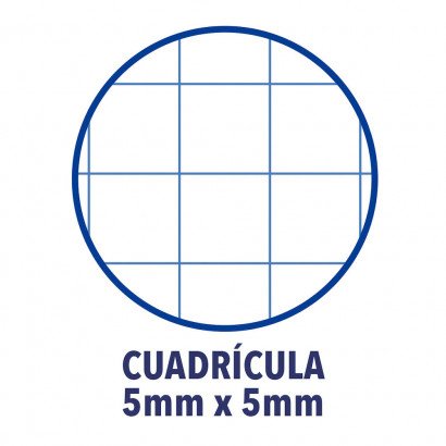 Cuaderno Con Espiral Cuadriculado Oxford European Book 1 100430201 A4+ 80 Hojas Violeta