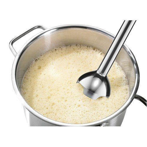 Bosch Msm 2410d Clevermixx Fun