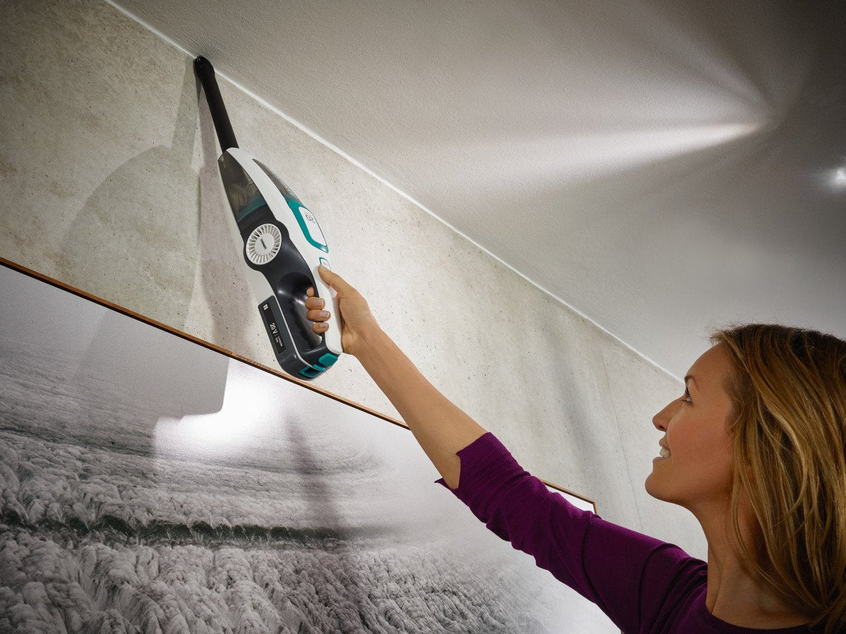 Aspirador Leifheit 11925, Vertical