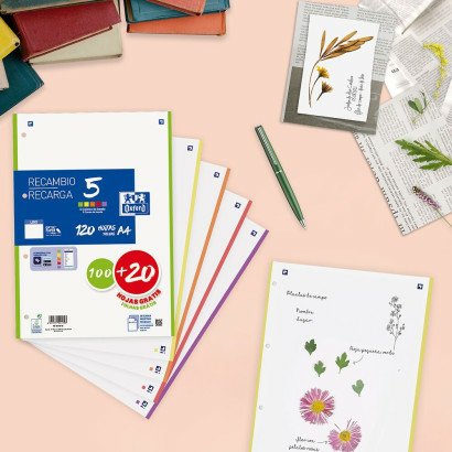 Oxford Recambio 100h + 20h Gratis 4 Taladros A4 90gr Liso 5 Bandas C/Surtidos Vivos