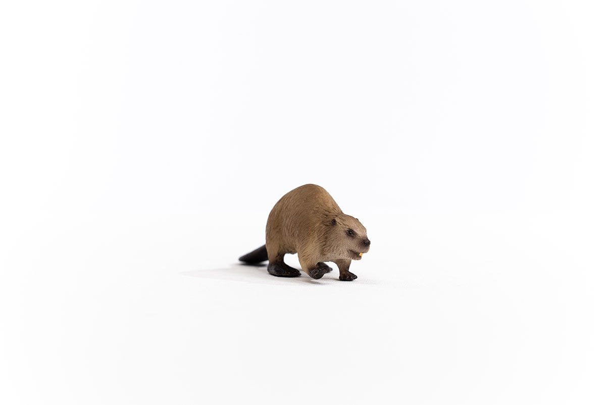 EAN 4059433364582 - schleich Vida Salvaje 14855 figura de juguete para niños imagen 5