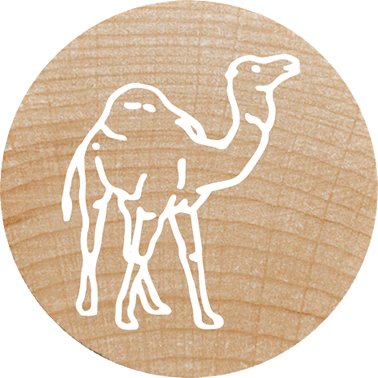 Colop Woodies Mempel-Set "Exotic Animation" Retail