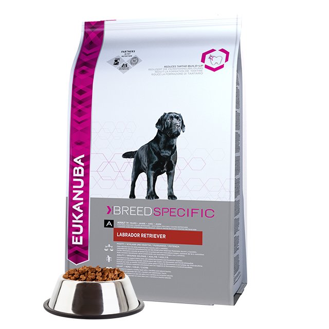 EAN 8710255121819 - Eukanuba ADULT DRY DOG FOOD FOR LABRADOR RETRIEVERS 12 kg Adulto Pollo, Pavo imagen 1