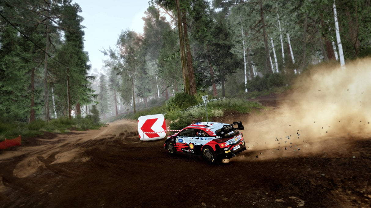 Wrc 10 Ps5
