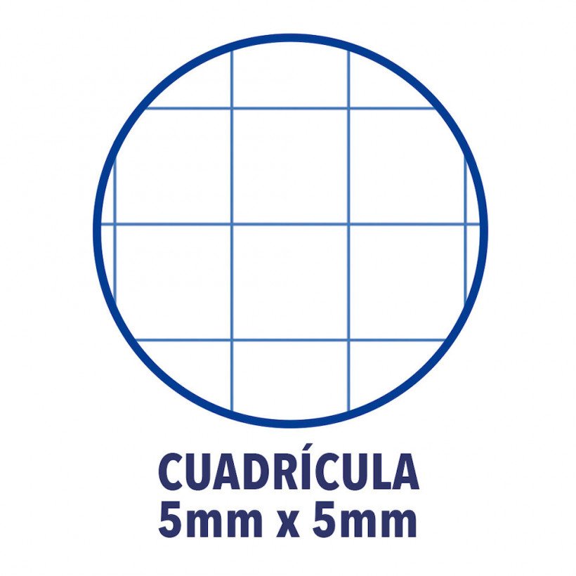 Oxford Cuaderno Europeanbook 1 Microperforado 80 Hojas 5x5 Tapas Extraduras Classic A4+ Rojo -5u-