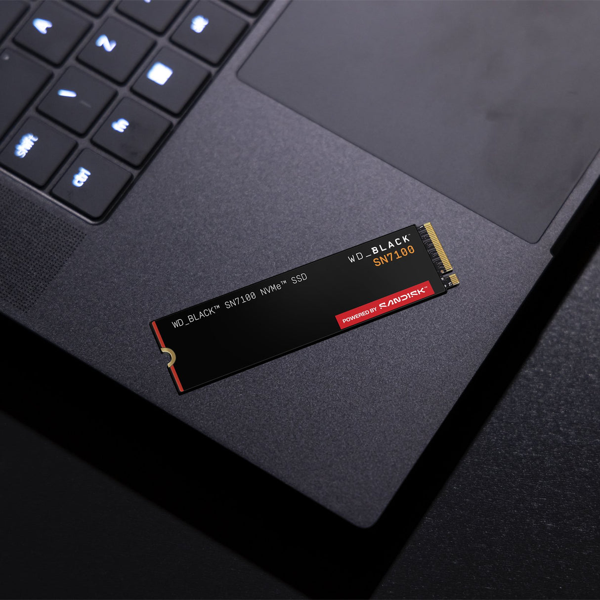 EAN 0718037902982 - SanDisk Black WD_BLACK SN7100 NVMe 4 TB M.2 PCI Express 4.0 3D TLC NAND imagen 8