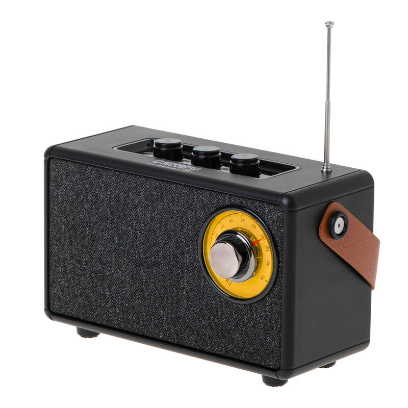 Altavoz Bluetooth Con Radio Camry Cr 1902 B, Negro
