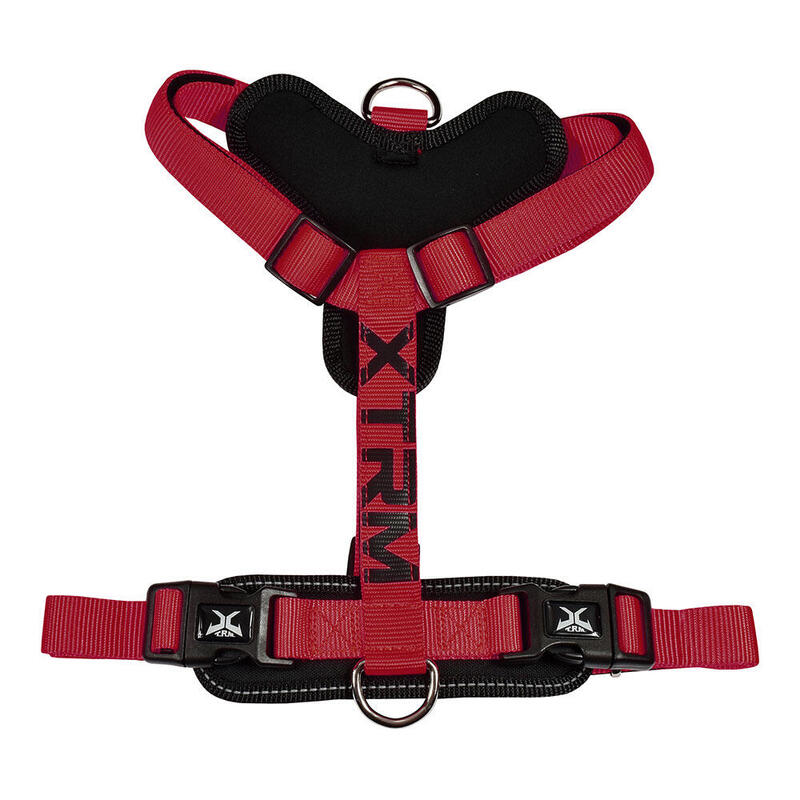 Arnés X-Trm Cronos Neon Flash Rojo/Negro, T-S 15 Mm X 35-60 Cm