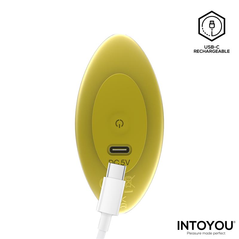 Auria Plug Anal Con Vibración Y Control Remoto Usb-C