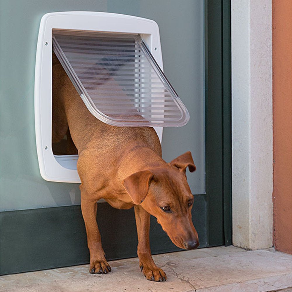 Swing 11 - Puerta Blanca Para Perros Medianos