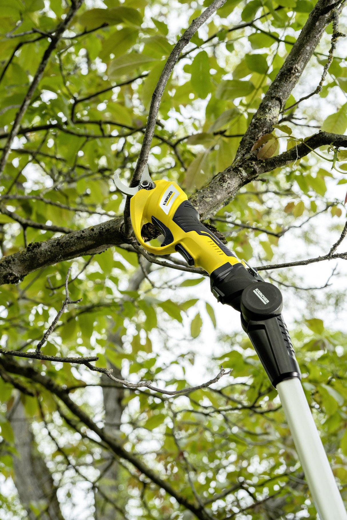EAN 4066529022318 - Kärcher TLO 2-18 Negro, Amarillo 2,5 cm 18 V imagen 6