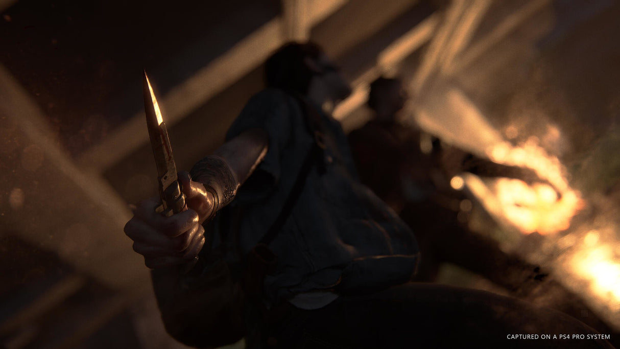EAN 0711719330806 - Sony Interactive Entertainment The Last of Us Part II Estándar PlayStation 4 imagen 27