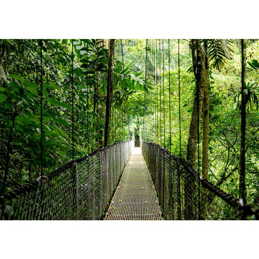 Portátil Hp Elitebook 6 G1i 14 U7-255u Syst