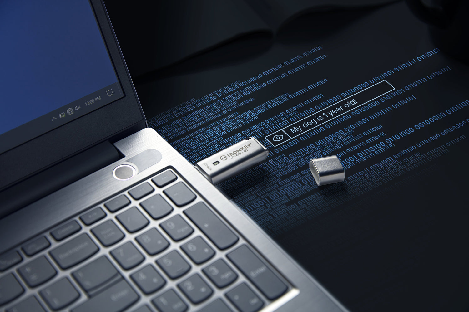 EAN 0740617329391 - Kingston Technology IronKey Locker+ 50 unidad flash USB USB tipo A 3.2 Gen 1 (3.1 Gen 1) Plata imagen 10