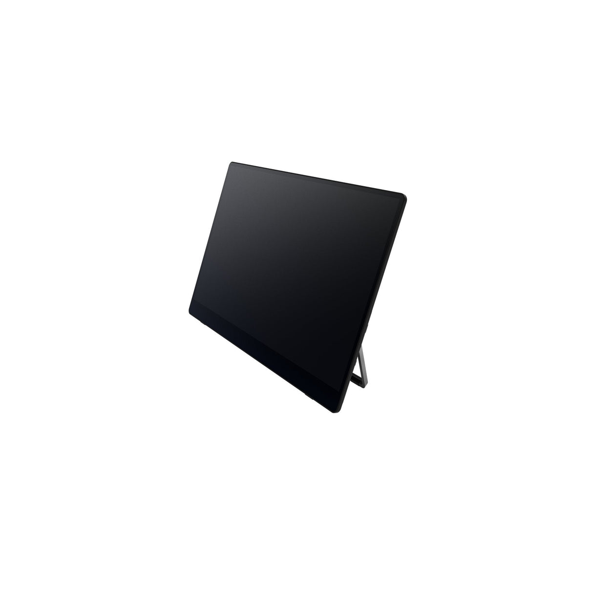 Monitor Portatil Ricoh 150bw