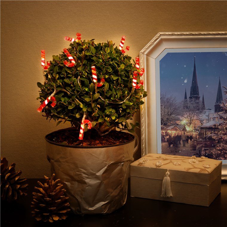 EAN 4040849581175 - Goobay 58117 iluminación decorativa Fairy lights 10 bombilla(s) LED imagen 3