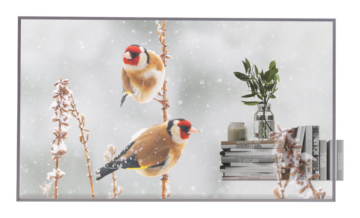 55ew5p-M 55in Oled 1920x1080 Lfd