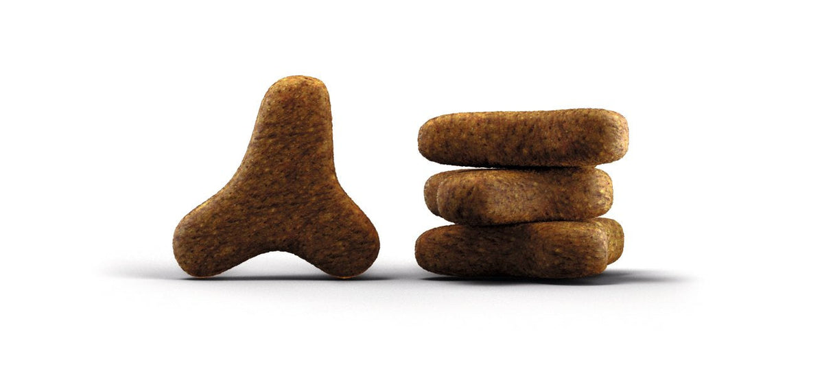 EAN 4032254749882 - Josera Naturelle alimento seco para gatos 10 kg Adulto Zanahoria, Aves, Batata imagen 2