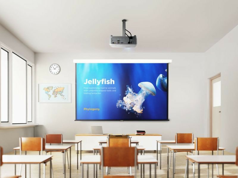 EAN 0766907026306 - Viewsonic PA504W videoproyector Proyector de alcance estándar 4000 lúmenes ANSI DLP WXGA (1280x800) Blanc imagen 17