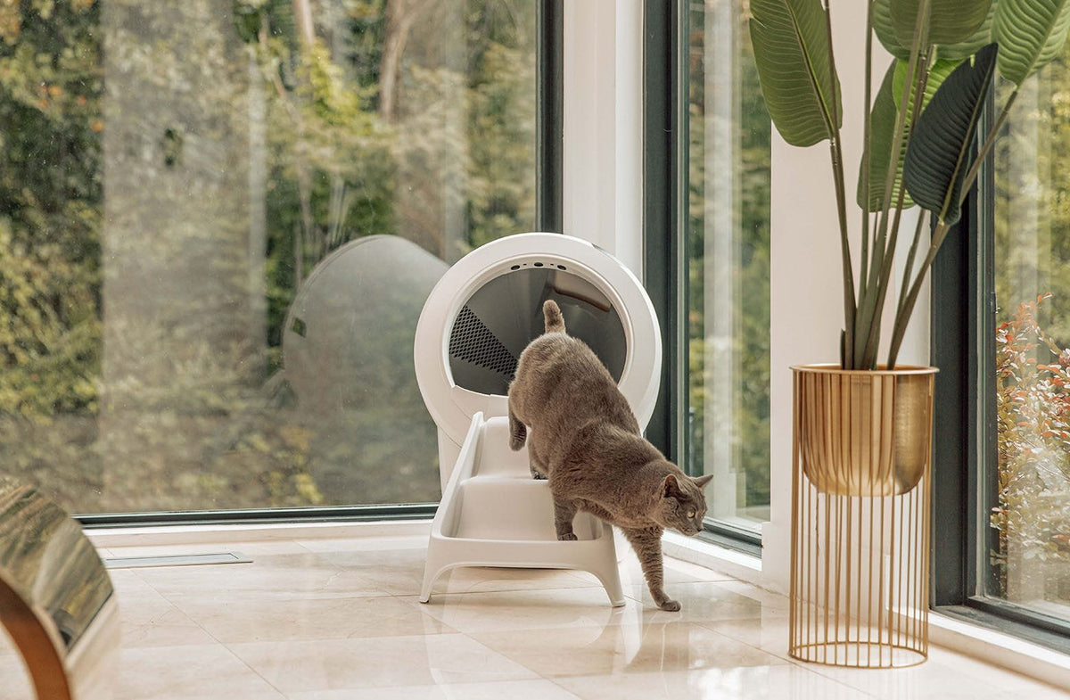 Whisker Litter-Robot 4 Ramp, White