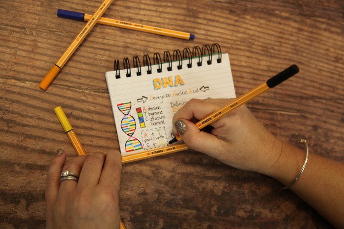 Stabilo Point 88 Rotulador Ocre Oscuro -10u-