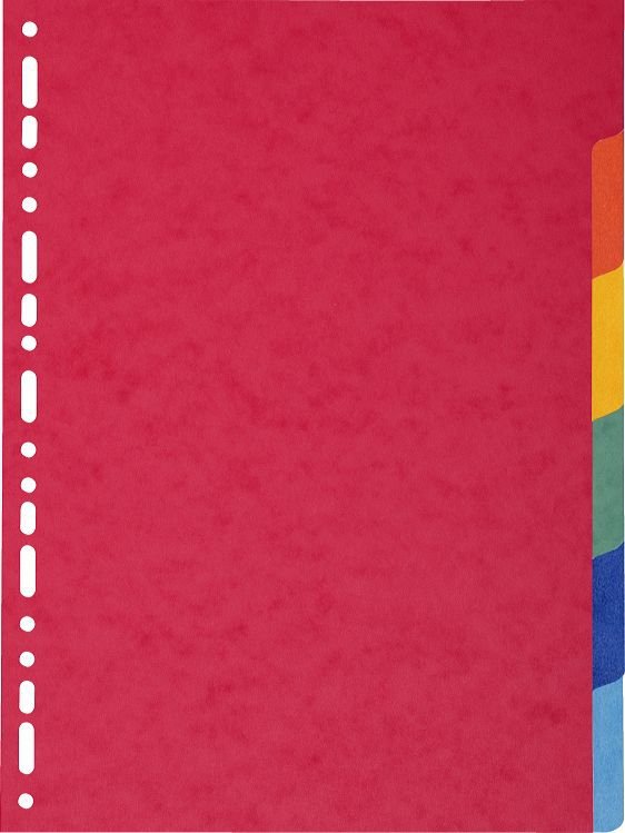 Exacompta Separadores Nature Future Cartulina Lustrada 225gr 6 Posiciones A4 Colores