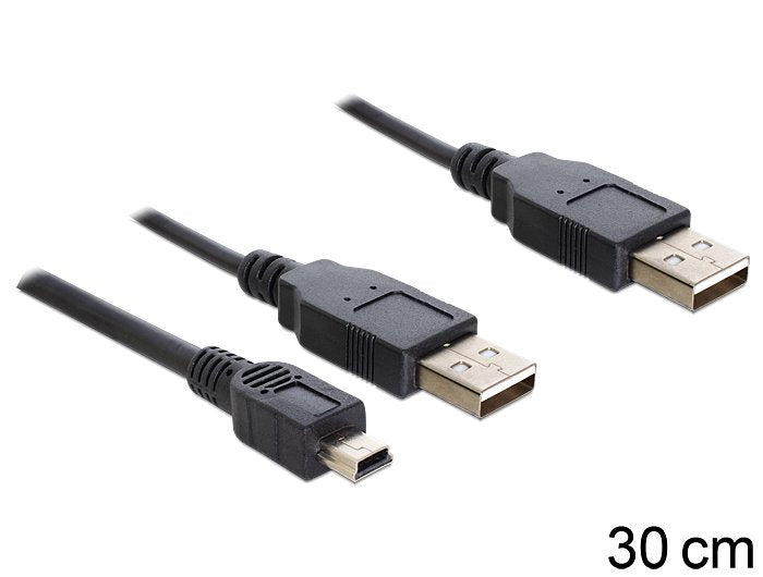 Delock Cable 2 X Usb 2.0-A Male Usb Mini 5-Pin.30cm