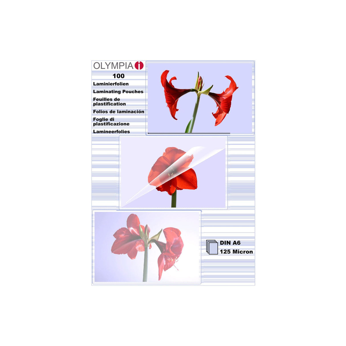 EAN 4030152091782 - Olympia 1x100 DIN A6 125 micron plastificador 100 pieza(s) imagen 1