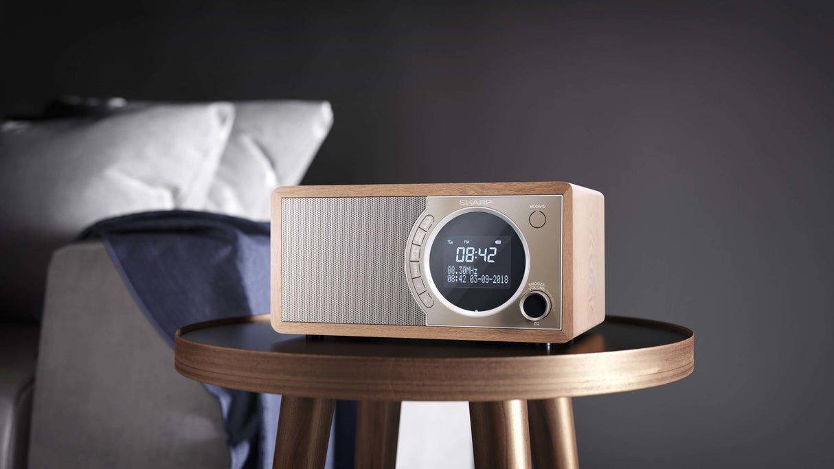 Radio Sharp Dr-450(Br) Digital Fm Dab Dab+, Bluetooth 4.2, Alarm Function, Brown