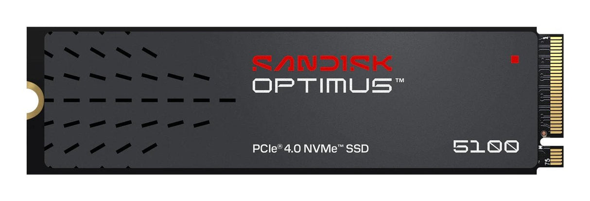 4 Tb Ssd Sandisk Optimus 5100 Nvme