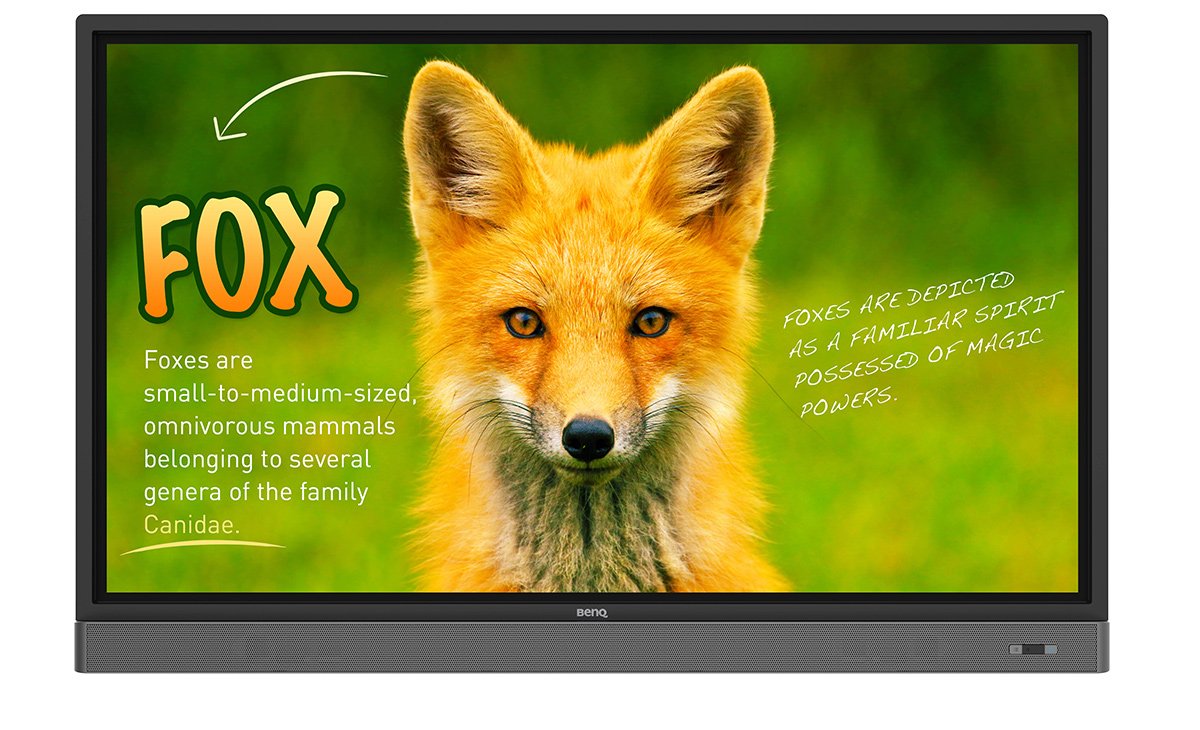 *Benq Rp653k