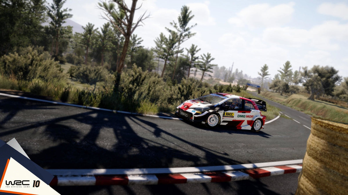 Wrc 10