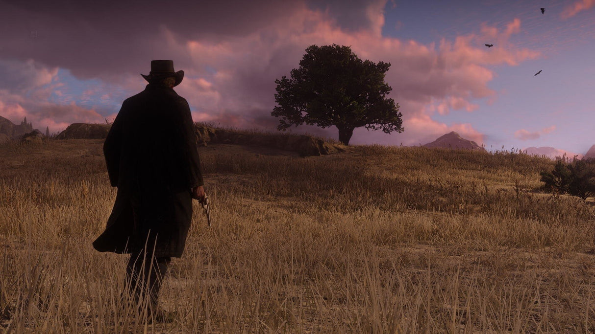 EAN 5026555359023 - Rockstar Games Red Dead Redemption 2 Estándar Xbox One imagen 11
