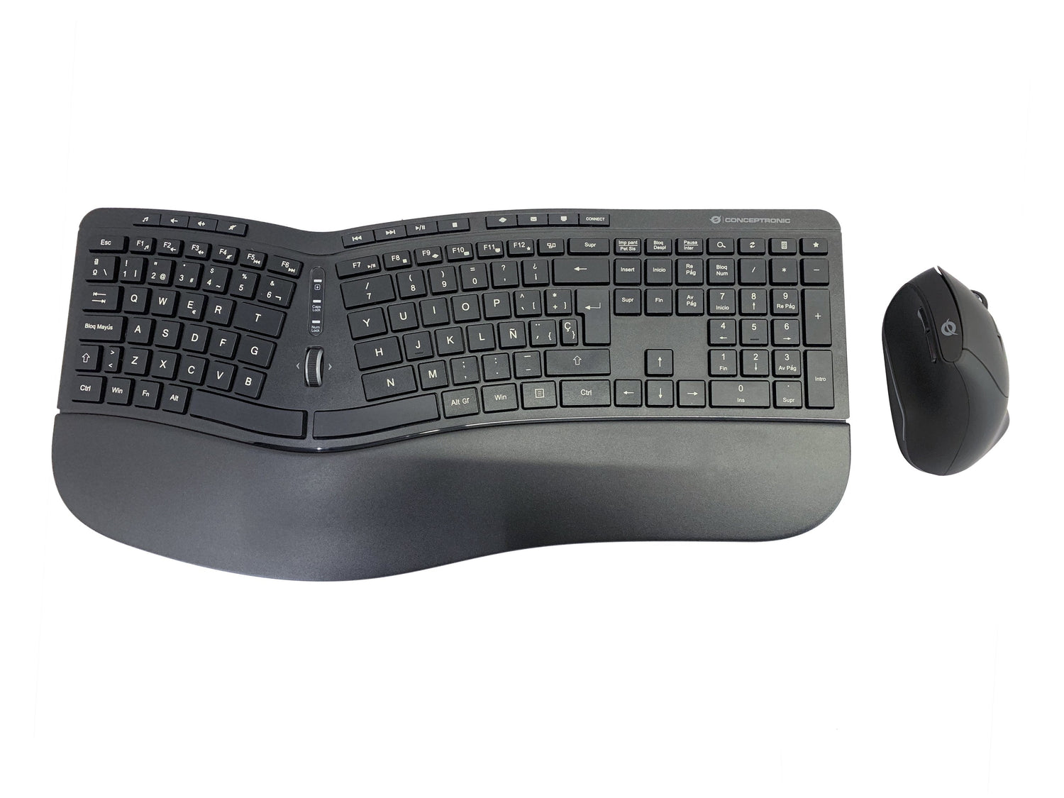 EAN 4015867227008 - Conceptronic ORAZIO02ES teclado Ratón incluido Oficina RF inalámbrico QWERTY Español Negro imagen 1