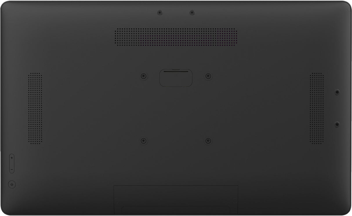 Iiyama Tw2424as 60.5cm Ips Touch 24'' 1920x1080 Micro-Sd 2xusb Negro