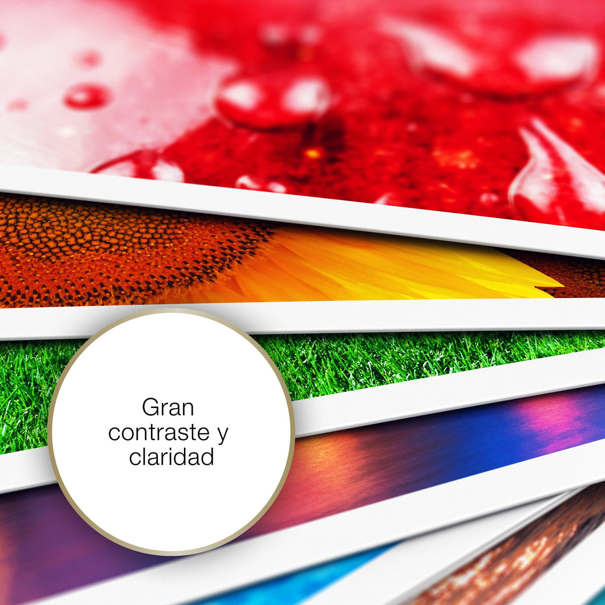 EAN 8715946529509 - Epson Photo Paper Glossy Brillo imagen 4