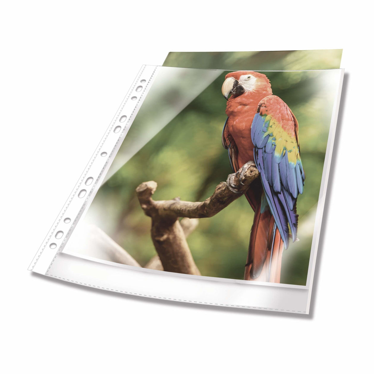 Durable Prospekthüllen A4 Oben Offen 25 Mück Glasklar, Blanco