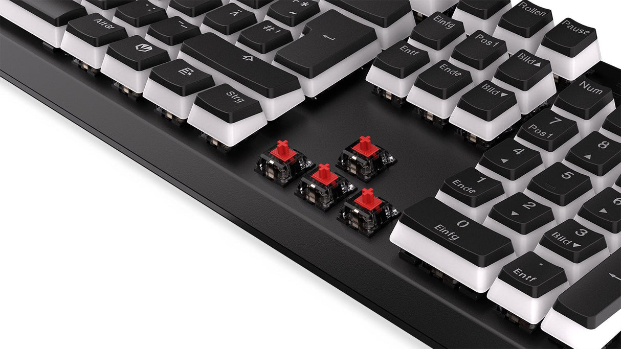 Teclado Alemán Endorfy Thock Usb Qwertz Negro