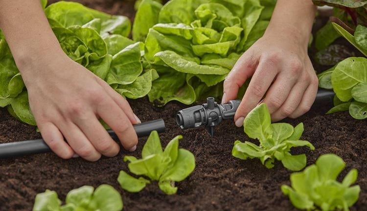 Gardena Micro-Drip-System Pieza En T Para Boquillas De Pulverización, 13 Mm (1/2"), Conexión (Gris Oscuro, 5 Piezas
