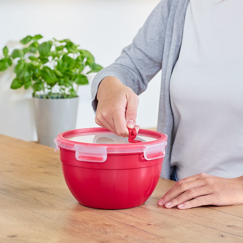 EAN 4009049532271 - EMSA N10606 Alrededor Caja 2,6 L Rojo, Transparente 1 pieza(s) imagen 4