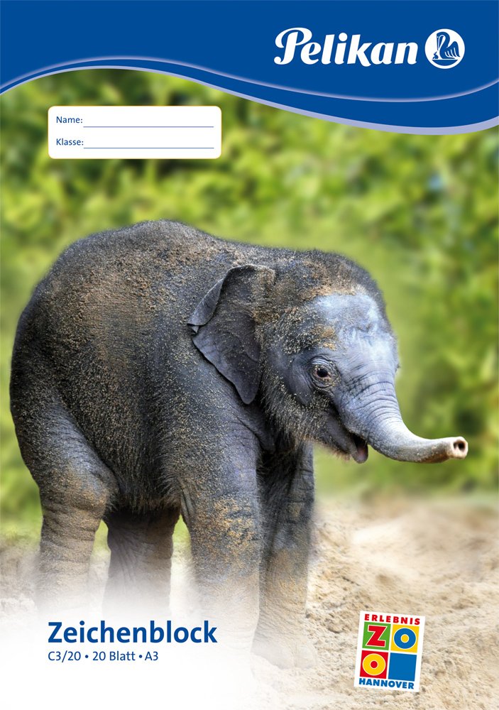 Bloc De Dibujo Pelikan A3 20 Hojas C3 / 20 Fsc Mix